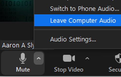 Disconnect Audio for Zoom